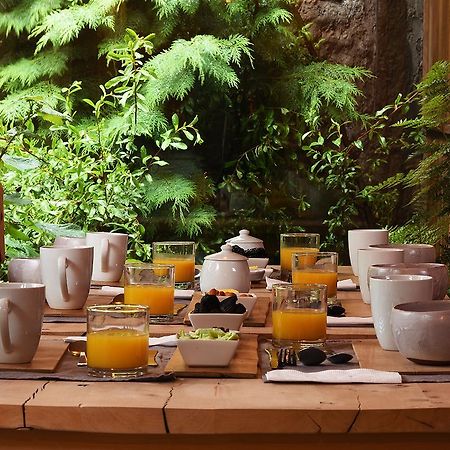 Raices Bed And Breakfast Coyhaique Kültér fotó