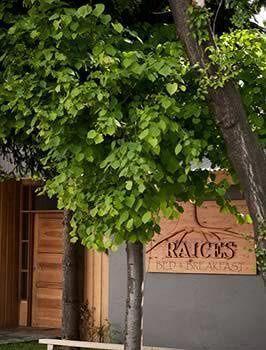 Raices Bed And Breakfast Coyhaique Kültér fotó